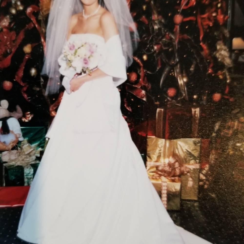 Paula Varsalona Wedding Gown